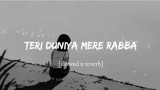 Teri Duniya Mere Rabba [slowed x reverb] Kahin Deep Jaley [ost] || Shahir Ali Bagga