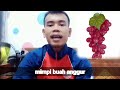 MIMPI BUAH ANGGUR.