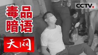 《天网》暗语藏“毒”！这些短视频竟在传递吸 贩毒暗号！ | CCTV社会与法