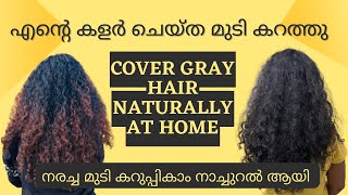 😱എന്റെ കളർ ചെയ്ത മുടി കറത്തു | Hairdye at home 💯 #hairdye #athome #inmalayalam #prematuregreyhair