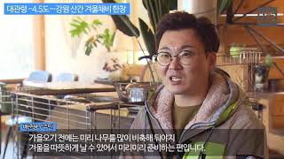 [KBS뉴스춘천] 대관령 -4.5도…강원 산간 겨울채비 한창