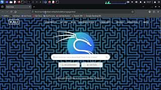 Advanced Network Sniffer using Python & Scapy
