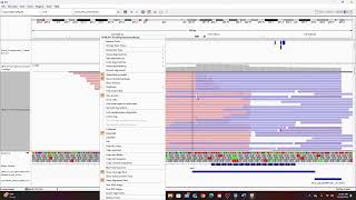 IGV Tutorial Part 3: Layout and Basic Usage
