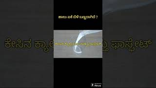 ಹಾಲು ಏಕೆ ಬಿಳಿ ಬಣ್ಣದ್ದಾಗಿದೆ ?| |why the milk colour is white?|