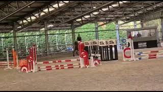 Shaniks troublemaker another clear round 4y barrelhof