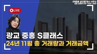 2024년 11월  거래금액  정리