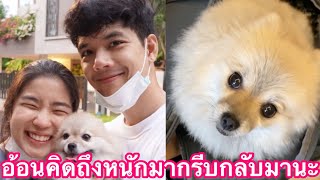 เอ็นดู”ต้าวไนล่า”โหมดอ้อนคิดถึง”นิกกี้-ก้อย”สุดตาแป๋วแหววเลย#นิกกี้ก้อย#นิกกี้ณฉัตร#ก้อยอรัชพร😘❤️