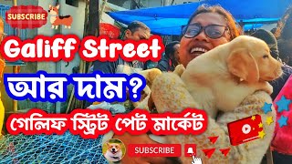 Galiff Street Pet Market Kolkata | dog market in kolkata | dog market in kolkata price | dogs