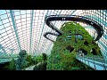 World's Tallest Indoor Waterfall | Cloud Forest in Gardens by the Bay