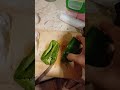 Green  pepper feeling #cuttingskils #trending #ytshorts #viralvideos