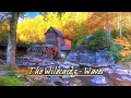 The Wildcardz - Waves