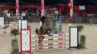 Sabatini Jumping Lier 7 jarige paarden Stx Youngstercup Finale 22/02/2025