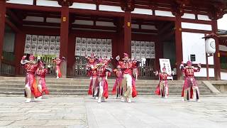 華鹿　バサラ祭り2019　東大寺会場　奉納演舞