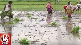 Weather Report: Karimnagar Farmers In Happy With Rainfall | V6 News