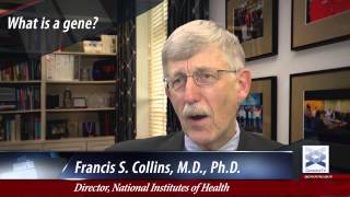 What's a Gene? - Francis Collins