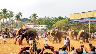 Pidikkaparambu Aanayottam | പിടിക്കപ്പറമ്പ് ആനയോട്ടം - Arattupuzha pooram 2022