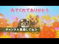 【バトル 】睨み合う猫☆一触即発の2匹