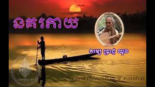 ចាបីដងវែង/ នគរកាយ ដោយតា​ ប្រាជ្ញ ឈួន