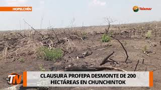 Clausura Profepa desmonte de 200 hectáreas en Chunchintok