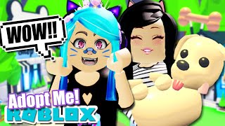 Robloxmermaid Videos 9tubetv - 