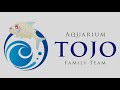 アクアリウムレンタル和歌山　aquarium tojo 和歌山　ogawa