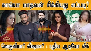 🔴 நடிகை காவ்யா மாதவன் ஆடியோ லீக்! | Kavya Madhavan சிக்கியது எப்படி? | Manju Warrier | Dileep Case |