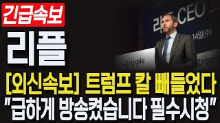 [리플 XRP] 긴급속보! 외신속보, 트럼프 칼 빼들었다! \