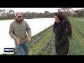 texas winter storm farmers working to protect crops from the cold