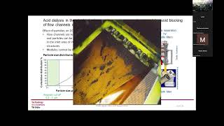 Circular Economy&Stainless Steel Processing-The Behavior of Diffusion Dialysis Membranes for Picklin