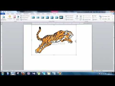 How to add mirror effect using ms word How to add mirror effect using ms word