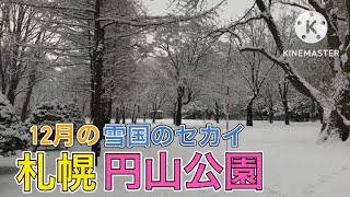 【札幌】雪が積もった円山公園を散策しました！