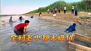 全村老少都來抓魚這場面真是熱鬧！東子上大貨激動壞鄰村大姨#徒手抓魚 #逮魚摸蝦 #真實戶外