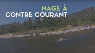 Nage à contre courant dans les gorges de l'Ardèche.