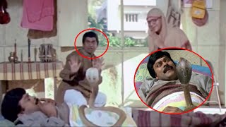 Brahmi & Chiranjeevi Back To Back Hilarious Comedy Scenes || Telugu Movie Scenes || TFC Filmnagar