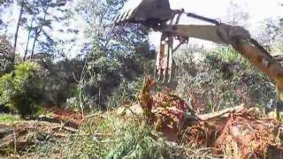 moving stumps.wmv