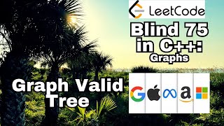 Leetcode Blind 75 C++: Graph Valid Tree