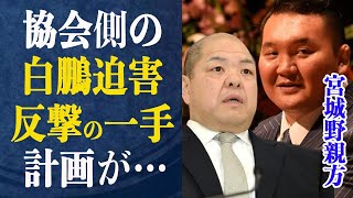 宮城野親方を相撲協会徹底攻撃！”人種差別””いじめ”との声が挙がる理由が…反撃を企てている宮城野親方の起死回生の一手に驚きが隠せない！タニマチが明かした相撲協会の闇とは一体…！？