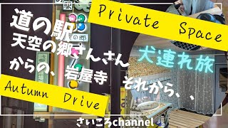 道の駅天空の郷さんさんで仮眠をとって、岩屋寺へ。秋のドライブを満喫