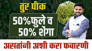 तुर 50% फुले व 50% शेंगा असल्यावर महत्वाची फवारणी // turivr dusri tisri favarni@rahulshindekrushi