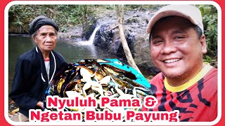 Nyuluh Pama & Ngetan Bubu Payung