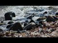 little hunters beach • pebble beach • 10h ocean waves