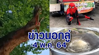 ข่าวนอกลู่ 4 พ.ค.64 - ชาวบ้านแห่กราบไหว้ กิ่งมะขามเทศคล้ายหัวพญานาค