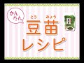 生でもおいしい！豆苗のグリーンサラダ