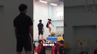 【ぴたっと着地の練習】#体操  #gymnast #acrobatics #kids