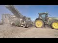 onion harvest near nampa idaho