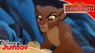 🌴 The Tree Of Life | The Lion Guard | Disney Kids