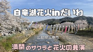 【花火】満開の桜と花火の共演　白竜湖花火IN大和2023