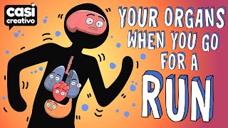 Your Organs When You Go For A Run