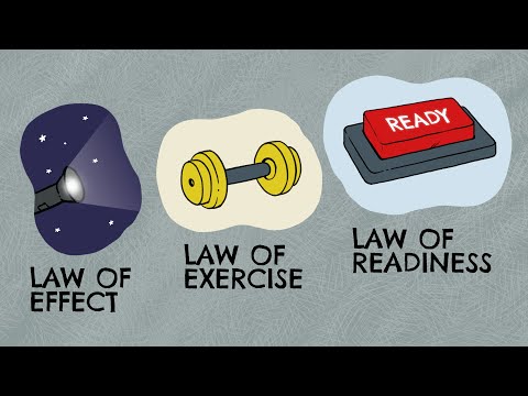 What happens to the association between stimulus and response according to the law of effect?