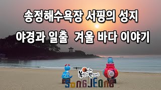 #부산핫플레이스  부산 겨울 서핑의 성지 | 부산 송정해수욕장에서 만난 겨울 바다 이야기 | 송정해수욕장 야경과 일출 | 부산 여행 코스 추천